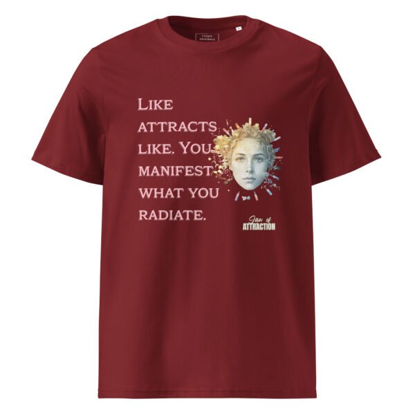 Law of Attraction Oversized Tee - Image 4