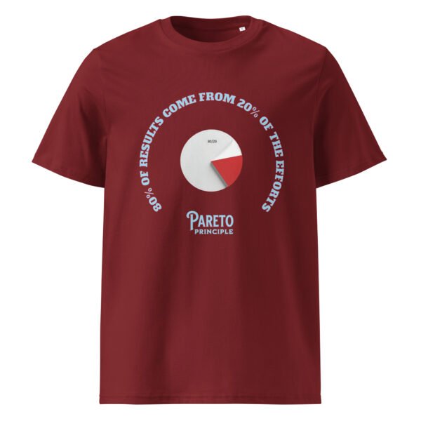 Pareto Principle 80/20 Oversized Tee - Image 4