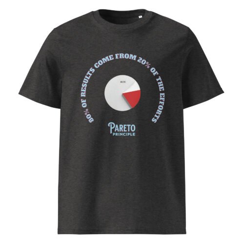 Pareto Principle 80/20 Oversized Tee